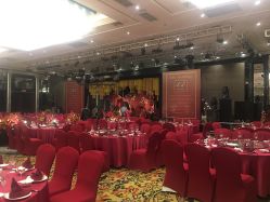 -成都大鼎世纪大酒店·宴会厅