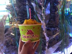 -迪拜水族馆及水下动物园