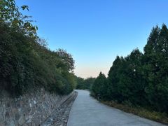 -北京西山国家森林公园