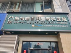 -凯特喵百思猫专科医院
