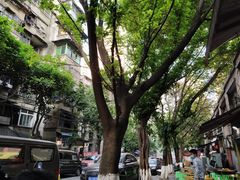 -毛毛老火锅(八年观音桥店)