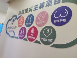 -哈喽美妈产后恢复中心(乐堤港店)
