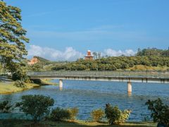 -东莞植物园