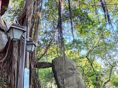 -乌山风景区