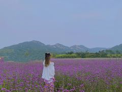 -西海岸生态观光园