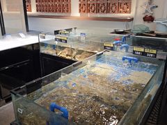 -闽海肴(北辰荟店)