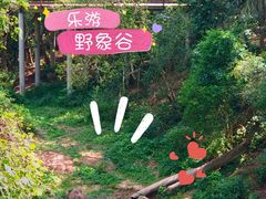 -野象谷景区