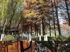-滨湖塘西河公园