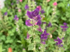-木守西溪溪隐餐厅