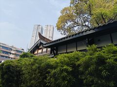 -春熙路步行街