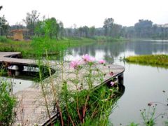 -三圣花乡旅游区