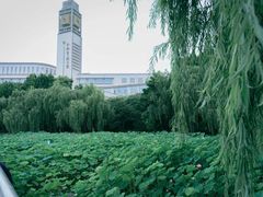 -合肥市图书馆