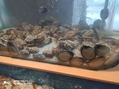 -大渔小鲜火锅店