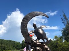 -广东惠东海龟国家级自然保护区