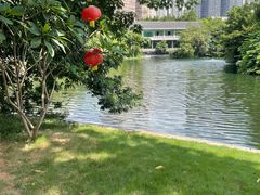 -荔湾湖公园