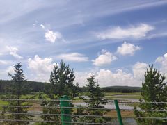 -塞罕坝国家级自然保护区