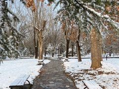 -泰安地下龙宫景区