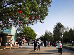 -大雁塔北广场音乐喷泉