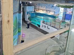 -嘉兴海底世界