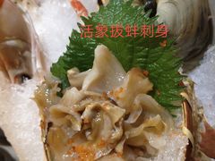 -鲔屋寿喜烧