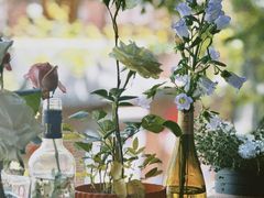 -Bistro Les Lilas丁香花小酒馆