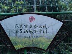 -树山生态村