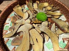 -蘑界·野生菌火锅(深业上城店)