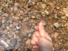 -楠溪江风景名胜区