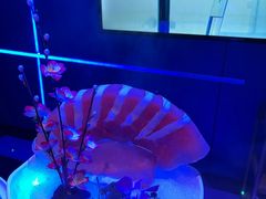 -唯爱KTV聚会餐厅(仙林东城汇店)