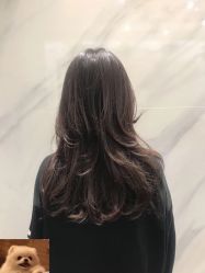 -逸丝风尚