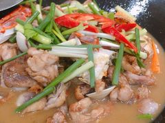 -顺德公美食(西乡店)