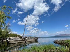 -洱海月湿地公园