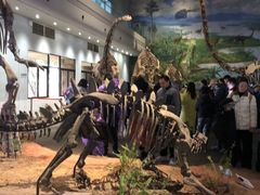 -自贡恐龙博物馆