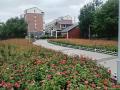 -长春公园(普阳街道)