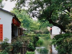 -西溪国家湿地公园