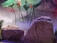 -半岛宠物医院24小时(科华中路店)