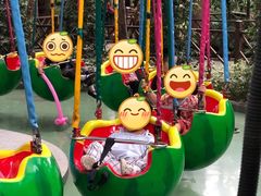 -南宫五洲植物乐园