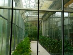 餐厅周围的玻璃隔墙-上海鲜花港