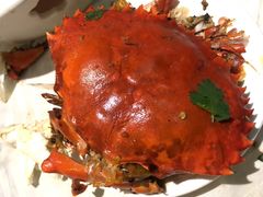 -石头咕(葵蓬店)