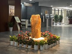 -中国人民大学图书馆新馆
