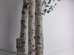-极简口腔(总院)