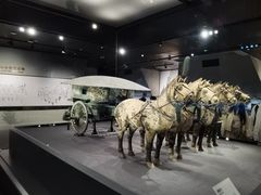 -秦始皇帝陵博物院-丽山园