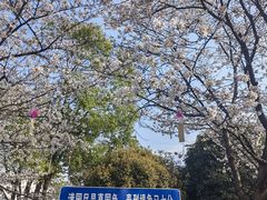 -堤角公园