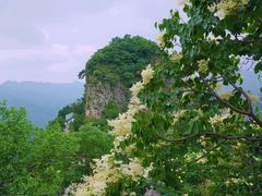-圣莲山风景区