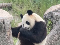 -宁波野生动物园