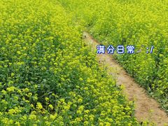 -北坞公园