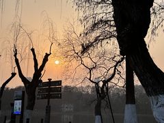 -东湖听涛景区
