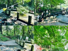 -成都市活水公园