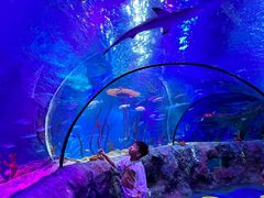 -沈阳海洋探索中心