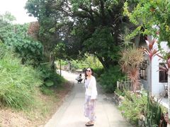 -南丫岛